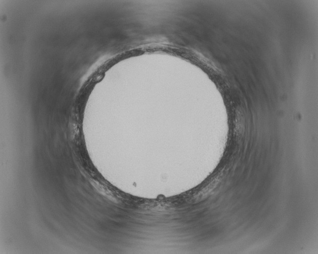 X0000077281400200611171550