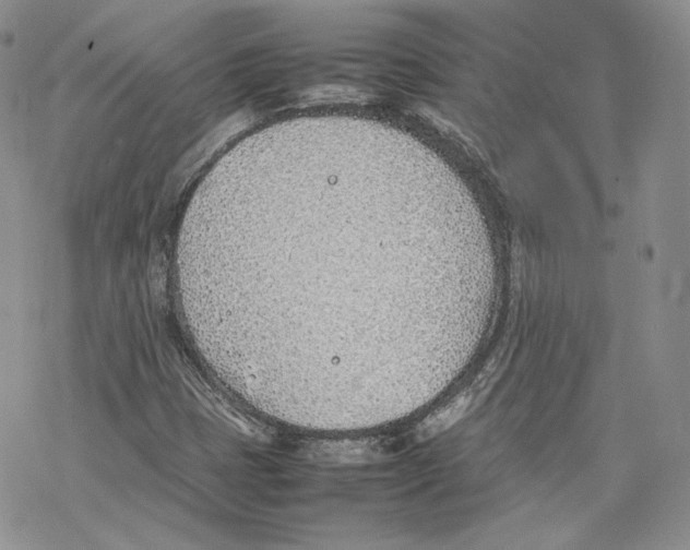 X0000077281401200611171550