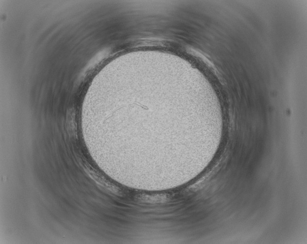 X0000077281403200611171550