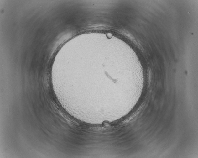 X0000077281405200611171550