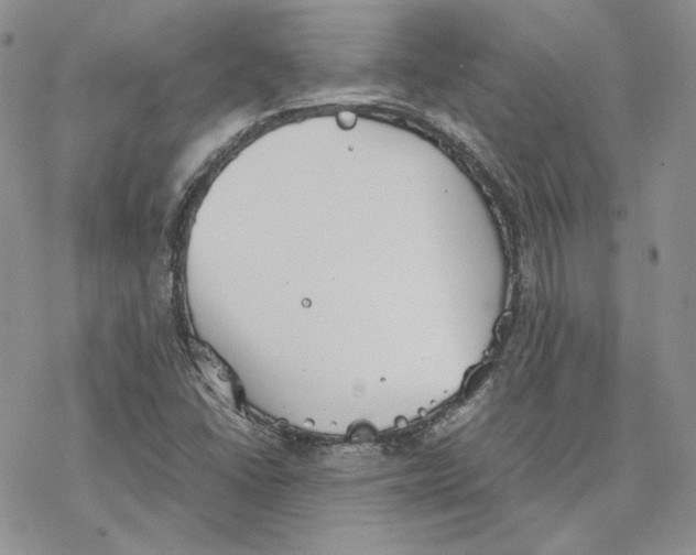 X0000077281406200611171550