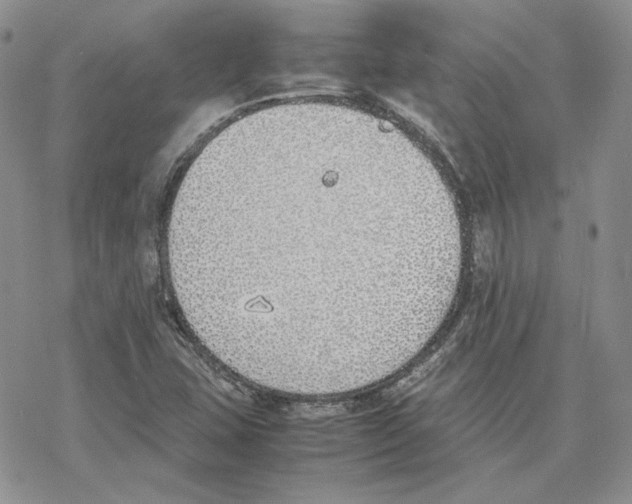 X0000077281407200611171550