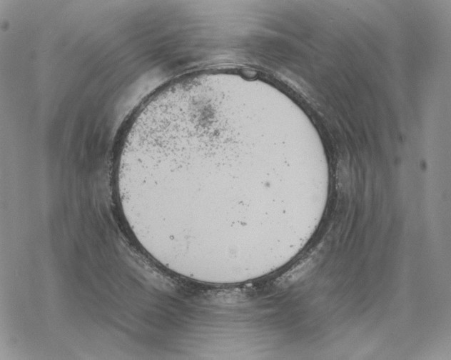 X0000077281410200611171550