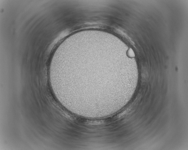 X0000077281411200611171550