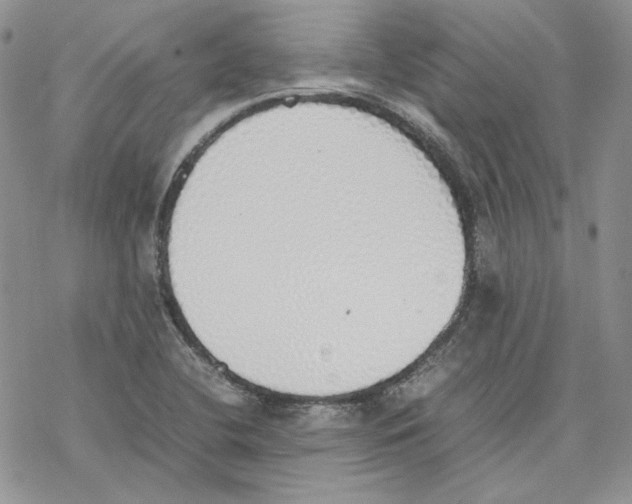 X0000077281412200611171550