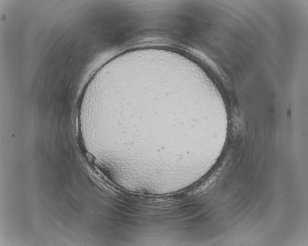 X0000077281413200611171551