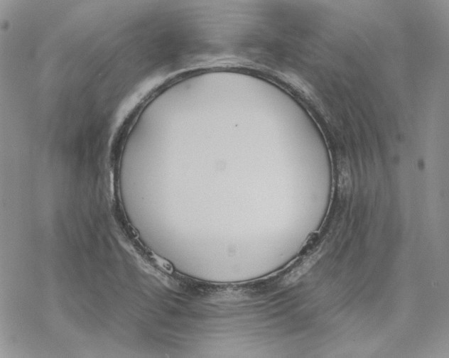 X0000077281414200611171551