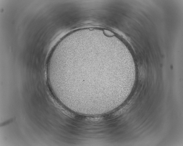 X0000077281415200611171551