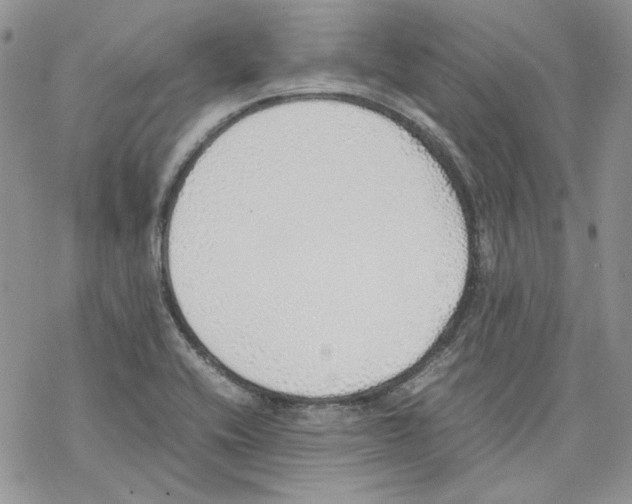 X0000077281416200611171551