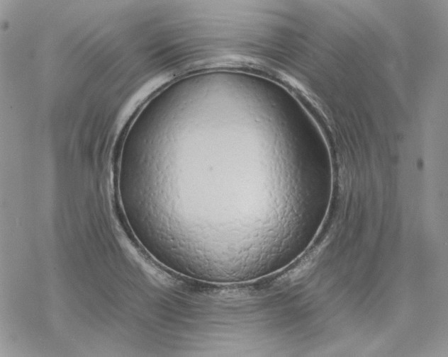 X0000077281418200611171551