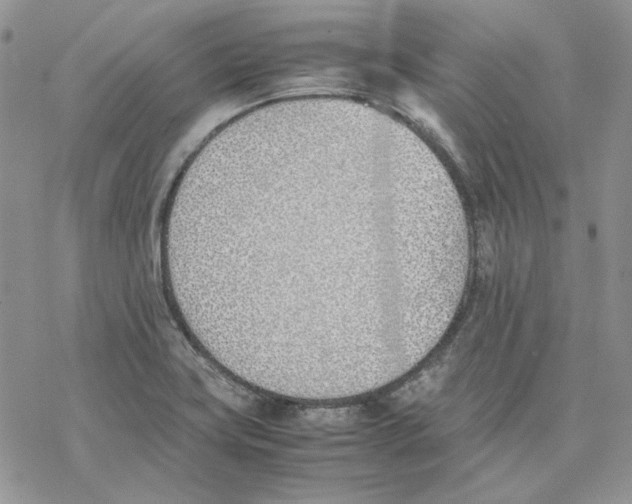 X0000077281419200611171551