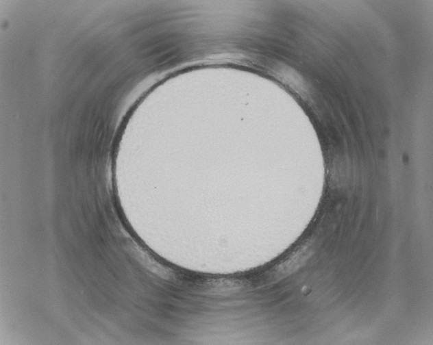 X0000077281420200611171551