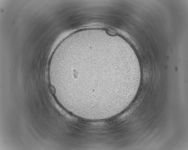 X0000077281421200611171551