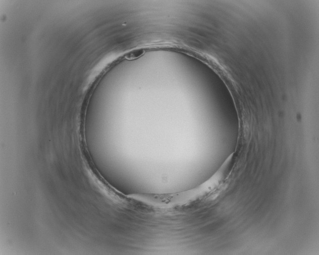 X0000077281422200611171551