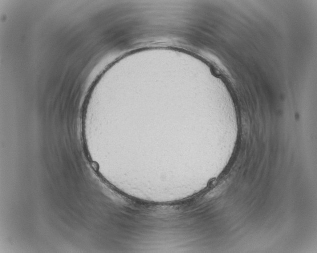 X0000077281424200611171551