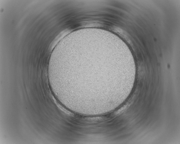 X0000077281425200611171551