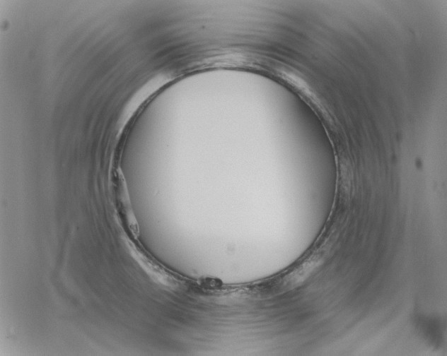 X0000077281426200611171551