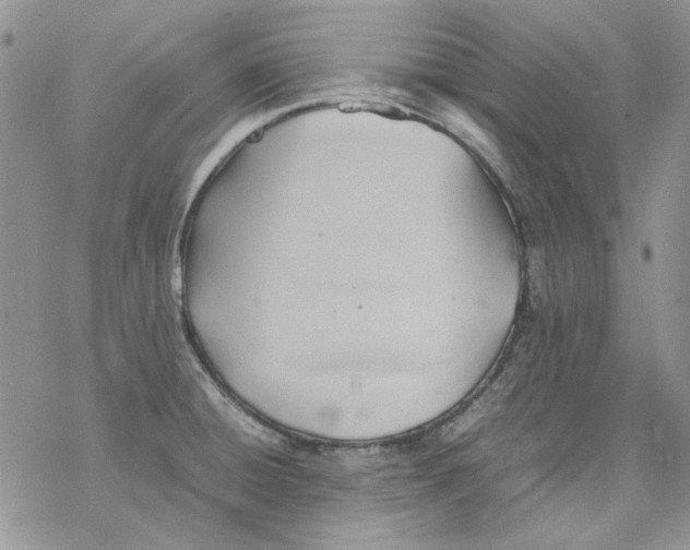 X0000077281428200611171551