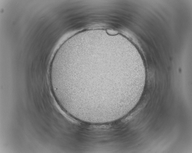 X0000077281429200611171551