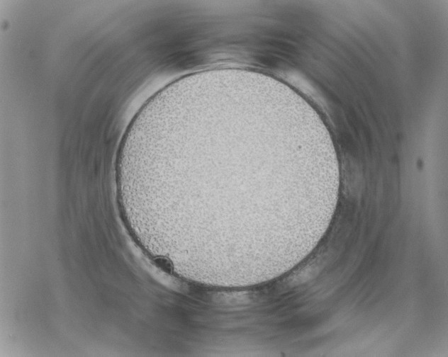 X0000077281431200611171551