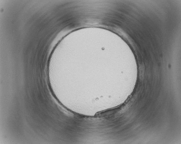 X0000077281432200611171551