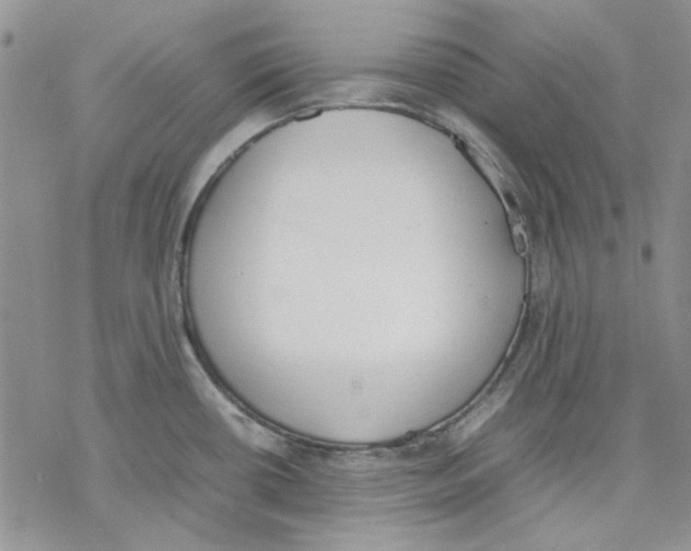 X0000077281434200611171551