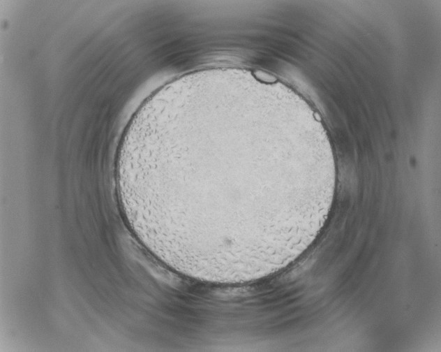 X0000077281435200611171551