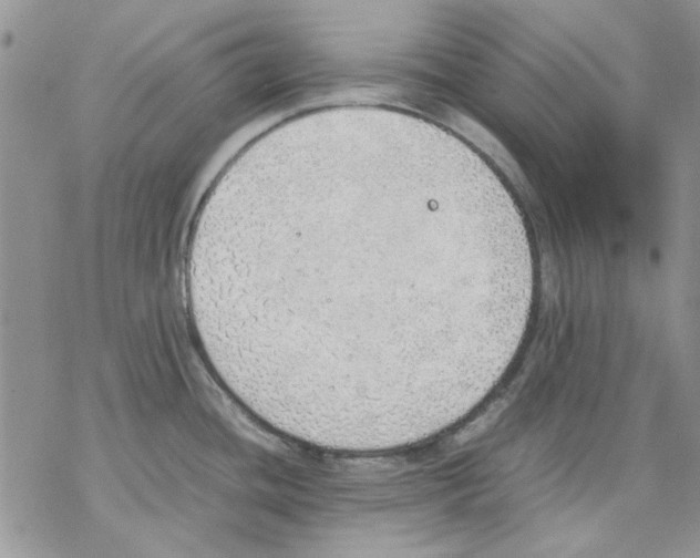 X0000077281436200611171551