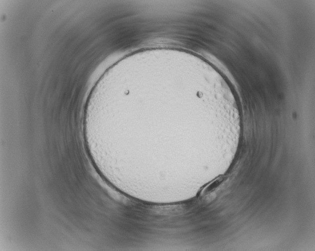 X0000077281437200611171551