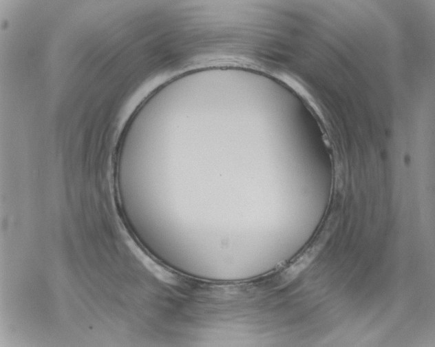 X0000077281438200611171551