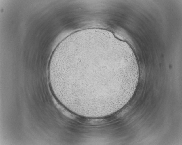 X0000077281439200611171551