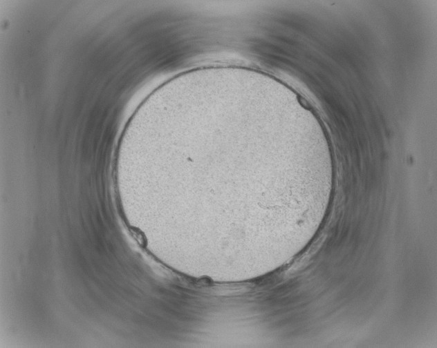 X0000077281440200611171551