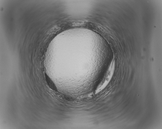 X0000077281441200611171550