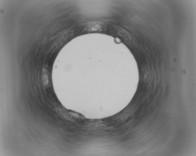 X0000077281442200611171550