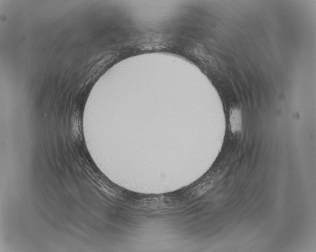 X0000077281444200611171550