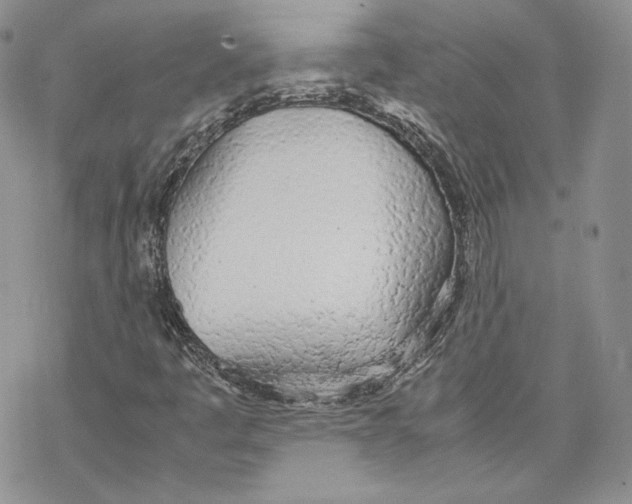 X0000077281445200611171550