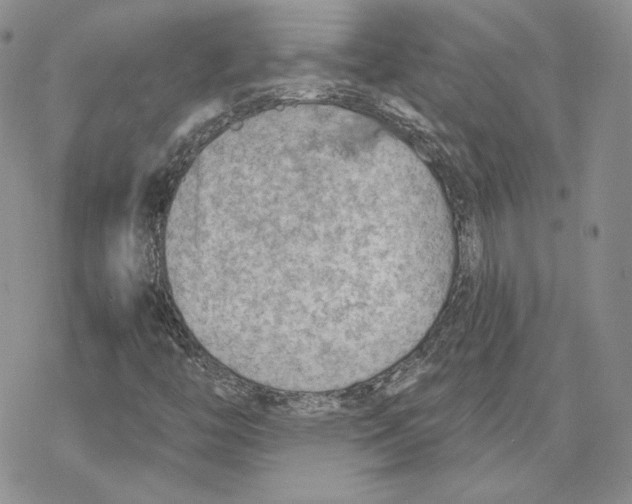 X0000077281446200611171550