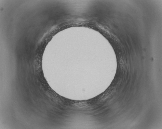 X0000077281447200611171550