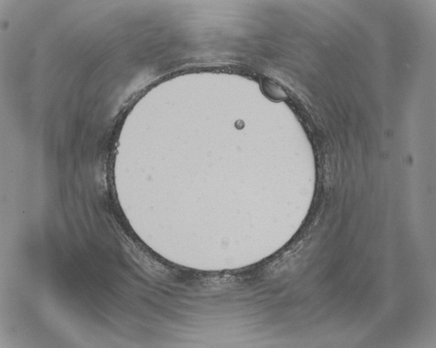 X0000077281451200611171550