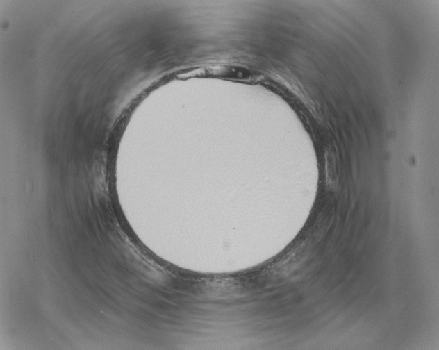 X0000077281452200611171550