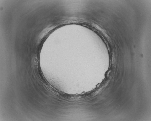 X0000077281453200611171550