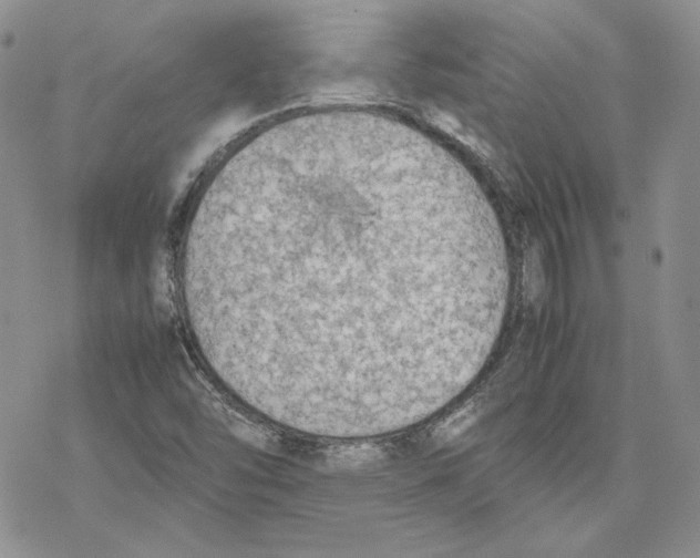 X0000077281454200611171550