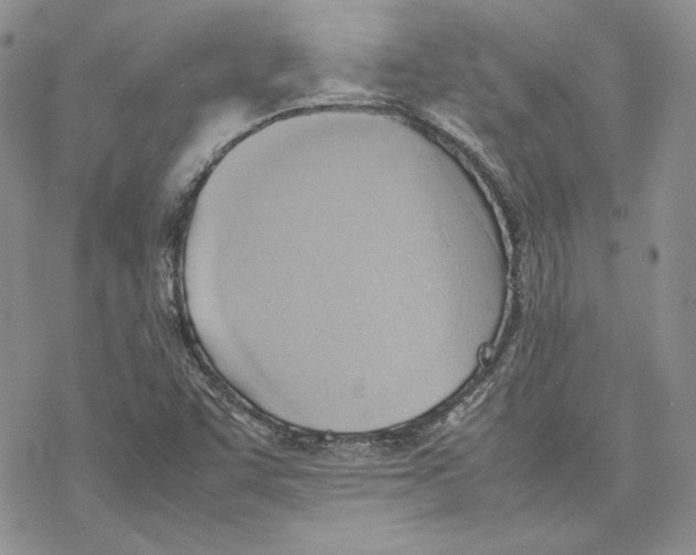 X0000077281455200611171550