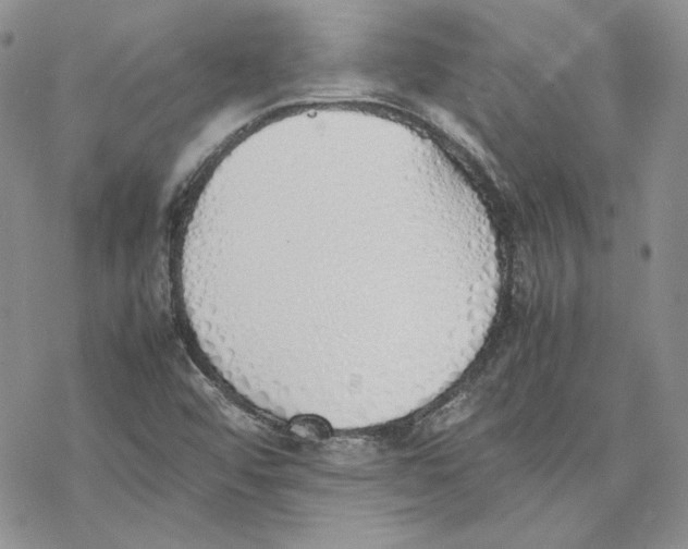 X0000077281456200611171550