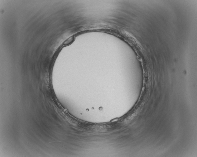 X0000077281457200611171550