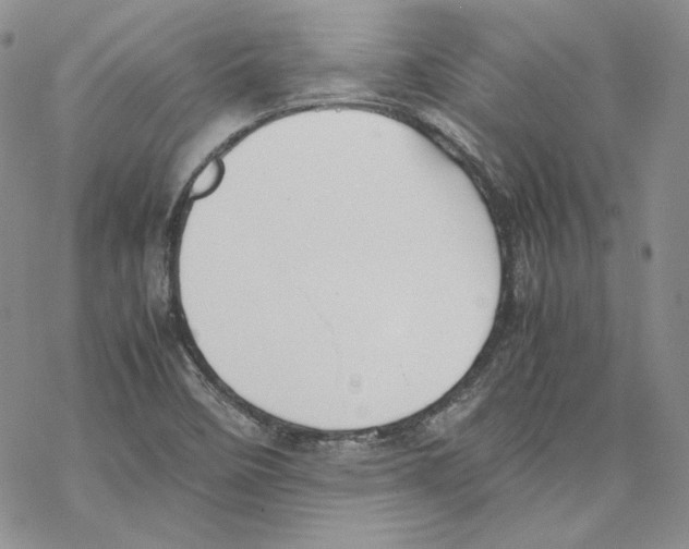 X0000077281458200611171550