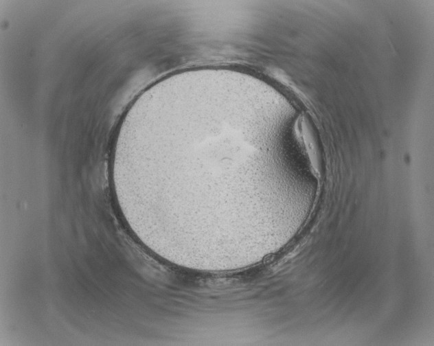 X0000077281459200611171550