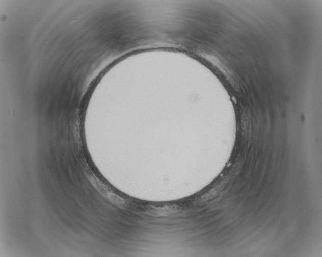 X0000077281460200611171550