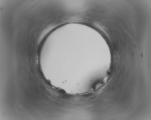 X0000077281461200611171550