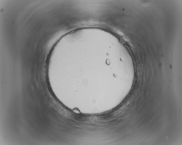 X0000077281463200611171550